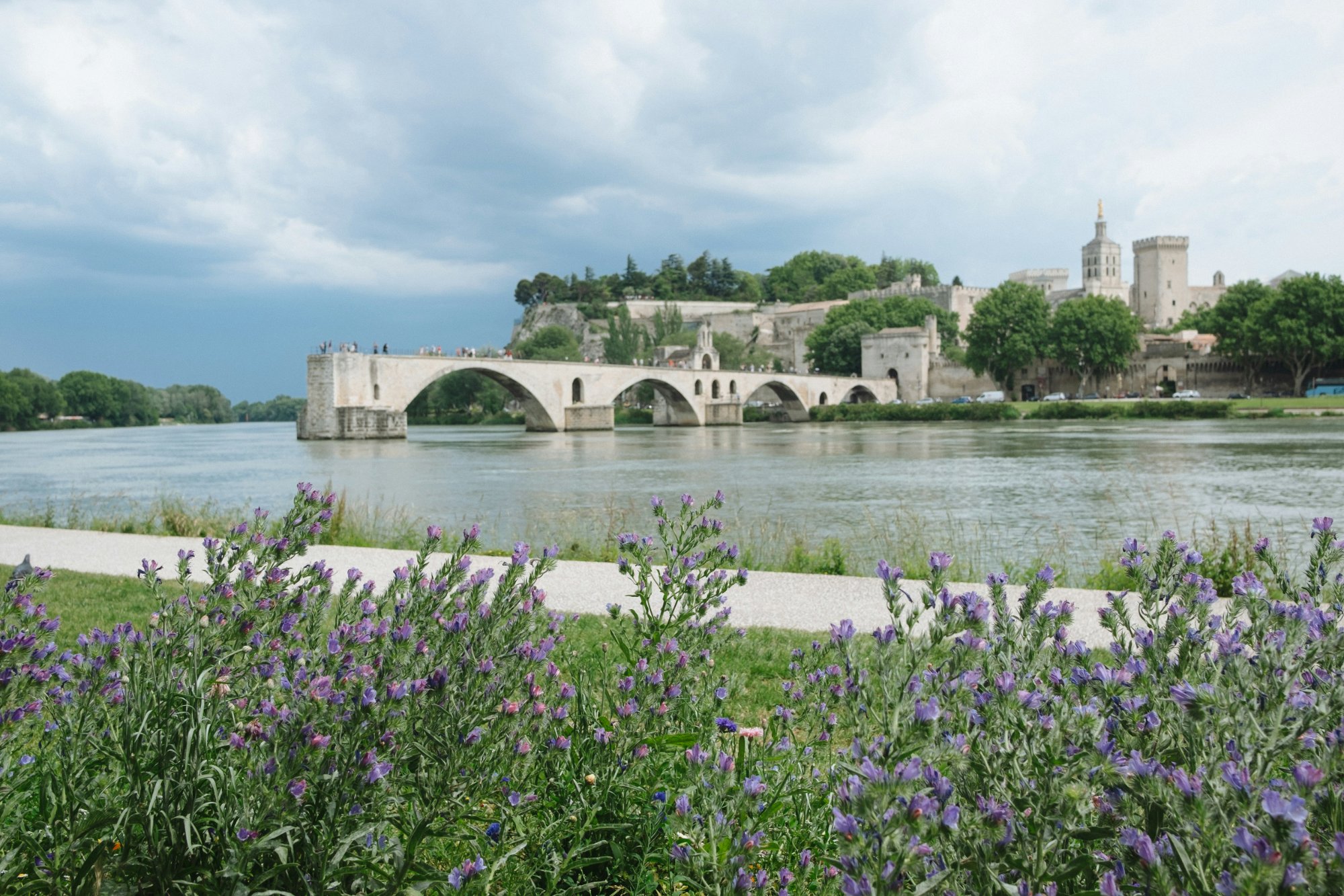 Pont d'Avignon et Palais des Papes — chauffeur privé VTC Avignon